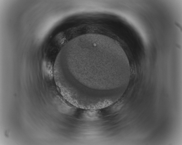 X0000103140479200809121758