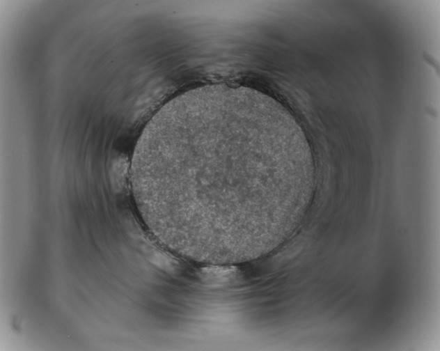 X0000103140480200809121758