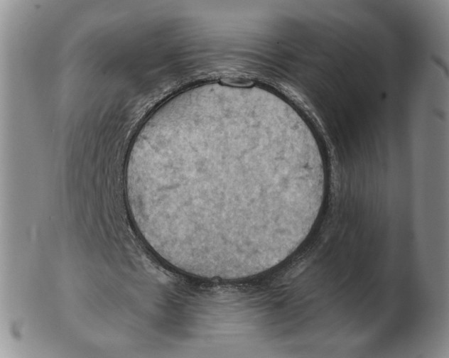 X0000103140481200809121757