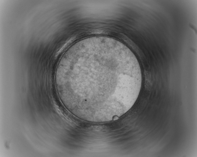 X0000103140482200809121757