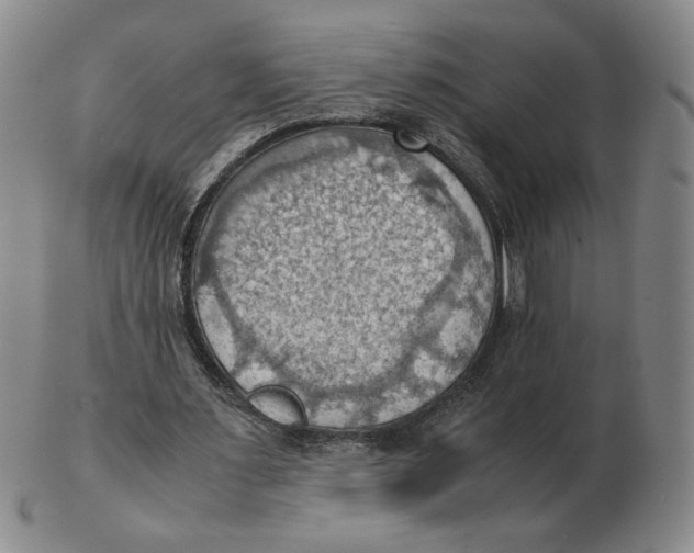 X0000103140483200809121757