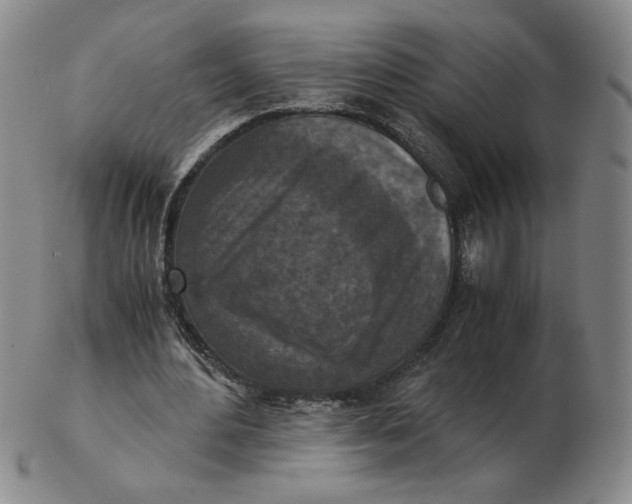 X0000103140484200809121757