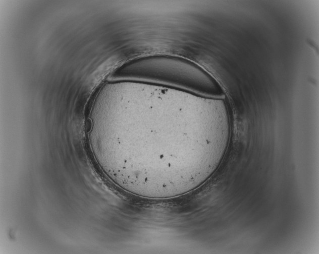 X0000103140485200809121757