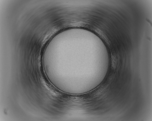 X0000103140486200809121757