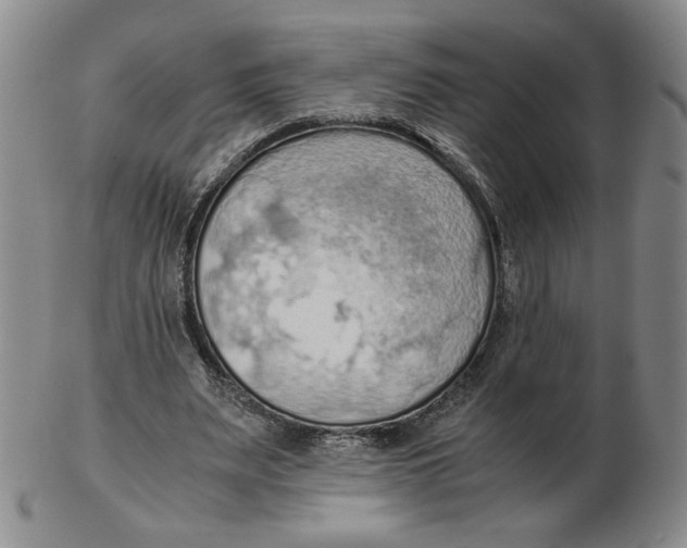 X0000103140487200809121757