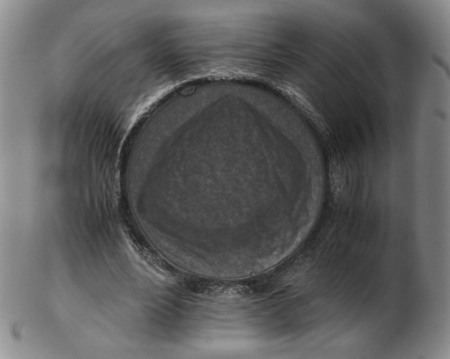 X0000103140488200809121757