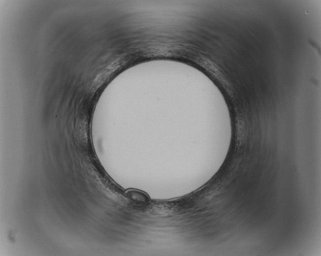 X0000103140489200809121757