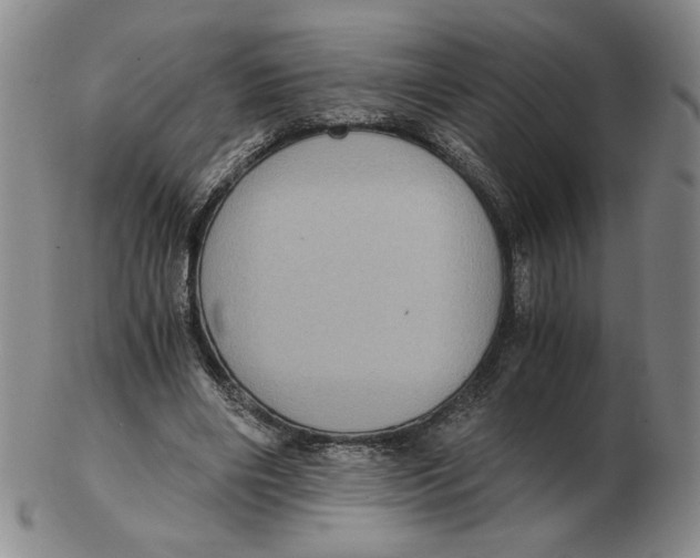 X0000103140490200809121757