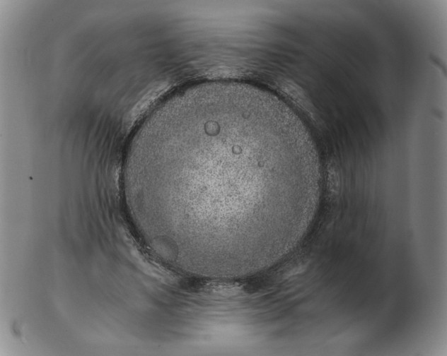 X0000103140491200809121757