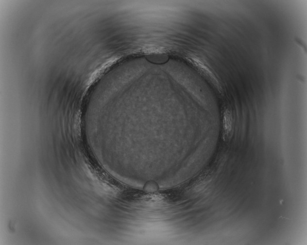 X0000103140492200809121757