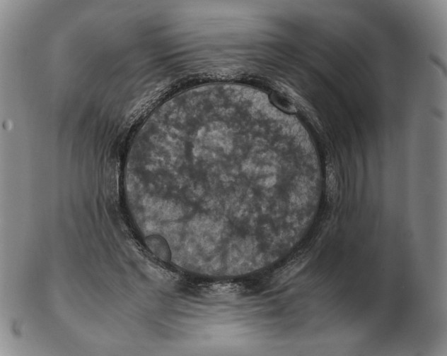 X0000103140493200809121757