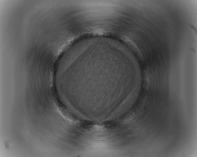 X0000103140496200809121757