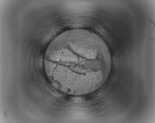 X0000103140499200809121757