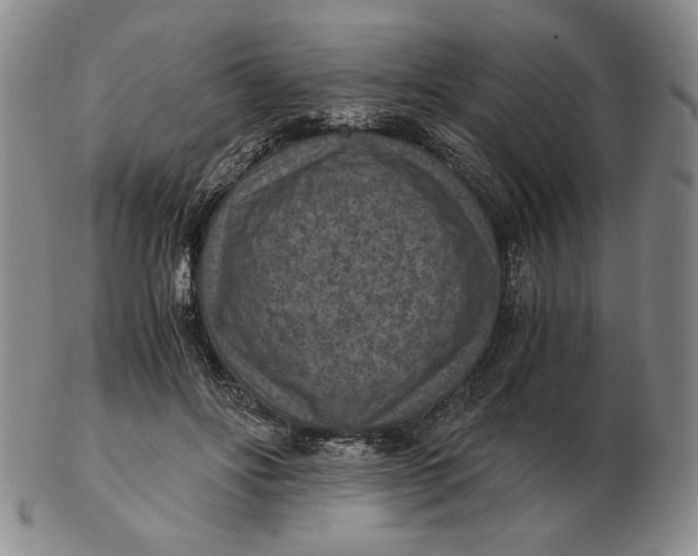 X0000103140502200809121757