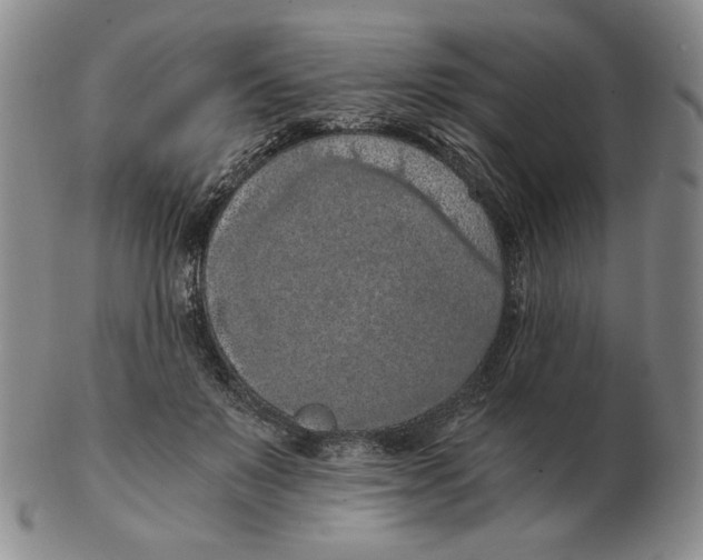 X0000103140503200809121757