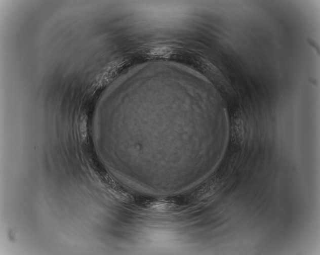 X0000103140504200809121757