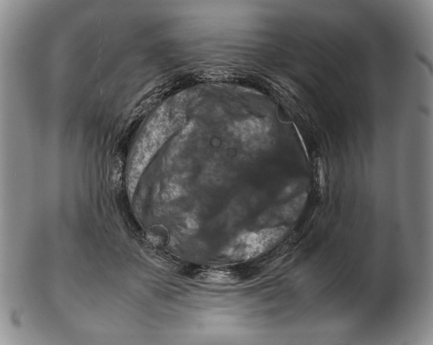 X0000103140507200809121757