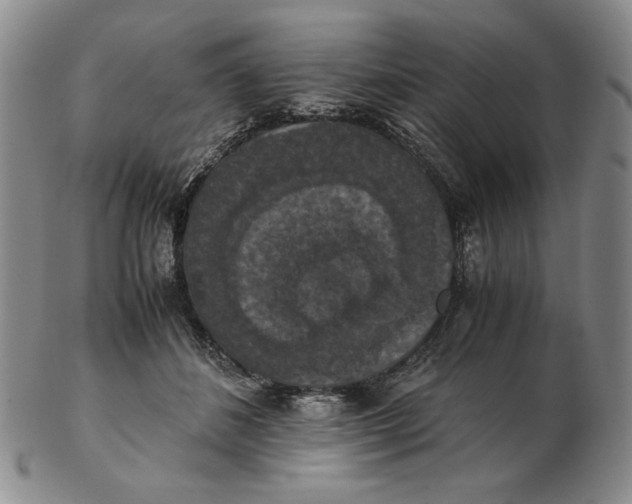 X0000103140508200809121757