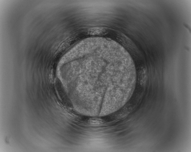 X0000103140510200809121757