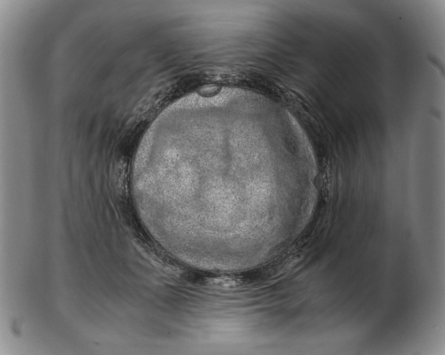 X0000103140511200809121757