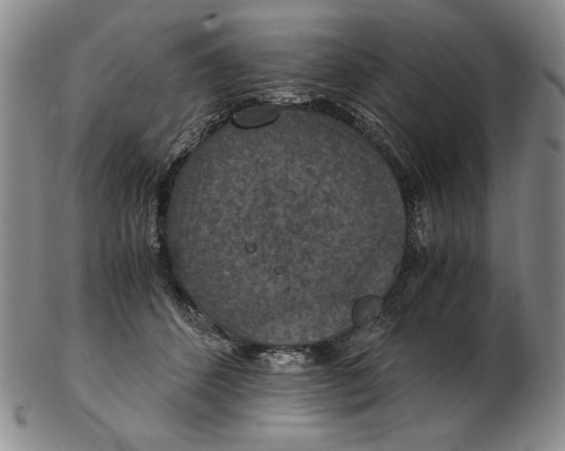 X0000103140512200809121757