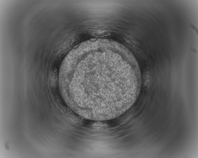 X0000103140515200809121757