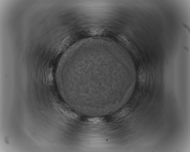 X0000103140516200809121757