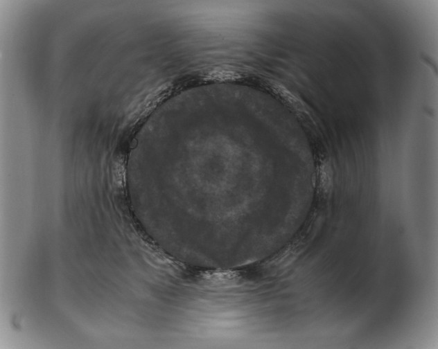 X0000103140517200809121757