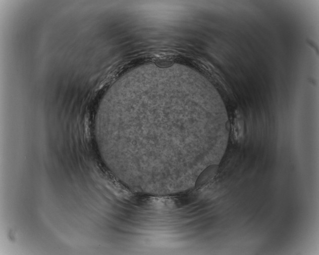 X0000103140520200809121757