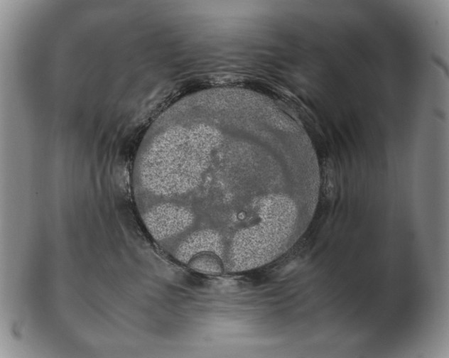 X0000103140523200809121756