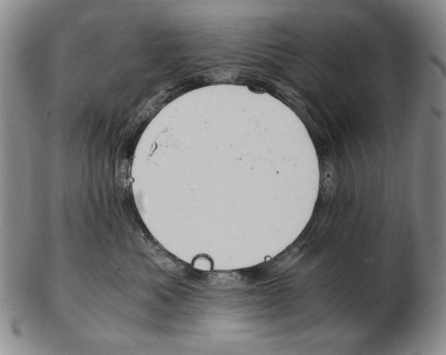 X0000103140525200809121756