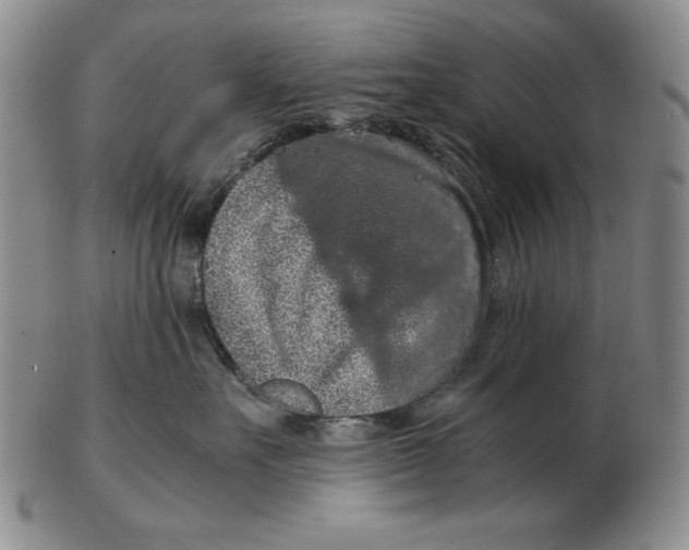 X0000103140527200809121756