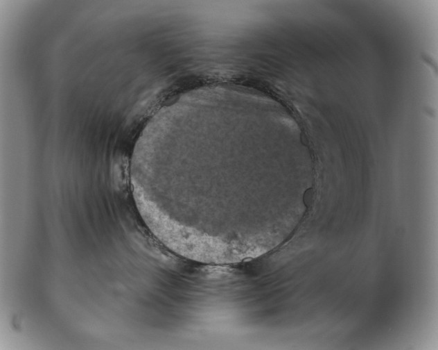 X0000103140528200809121756