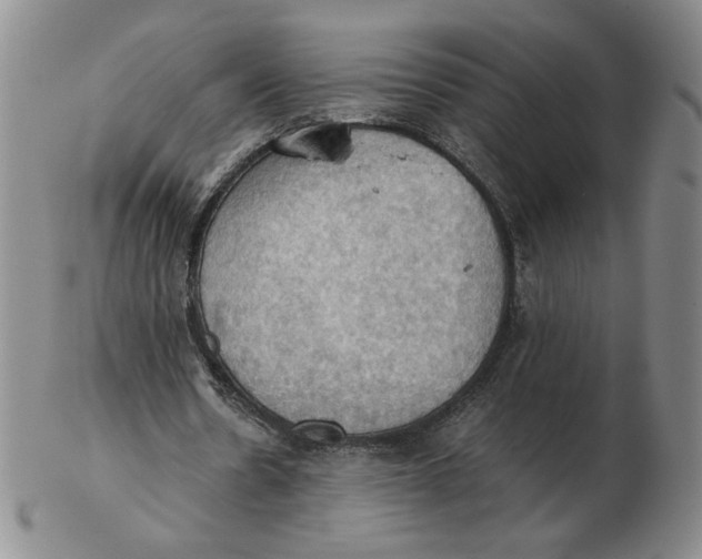 X0000103140530200809121756