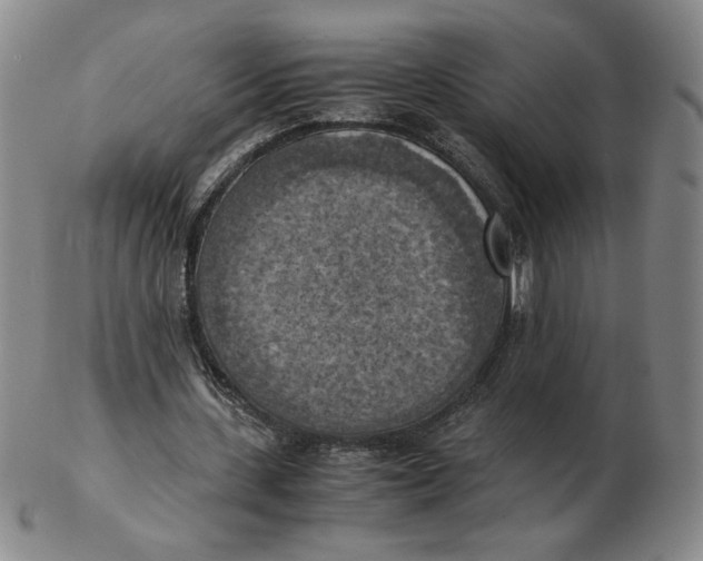 X0000103140531200809121756