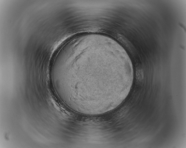 X0000103140532200809121756