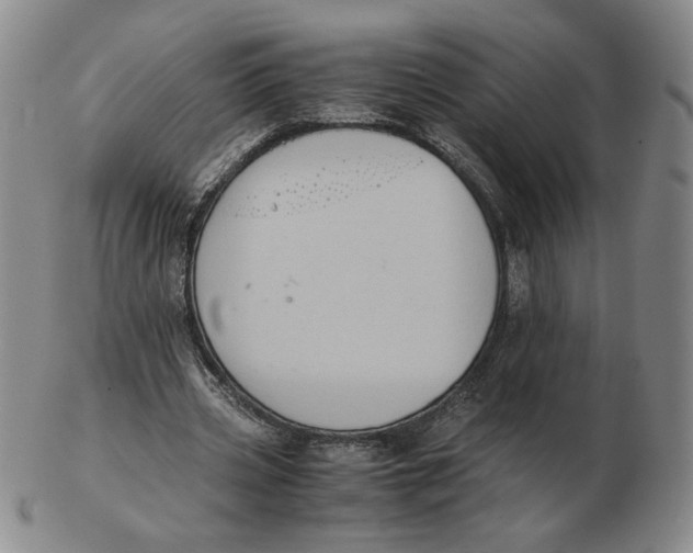 X0000103140533200809121756