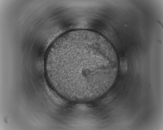 X0000103140534200809121756