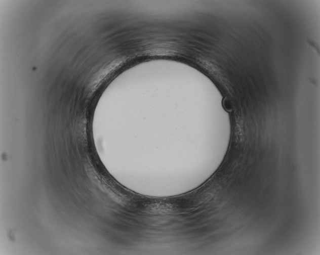 X0000103140535200809121756