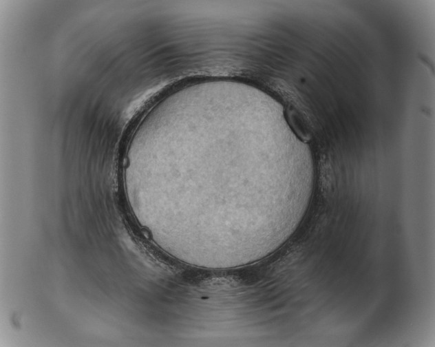 X0000103140536200809121756