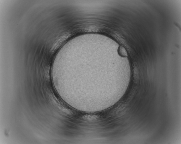 X0000103140537200809121756