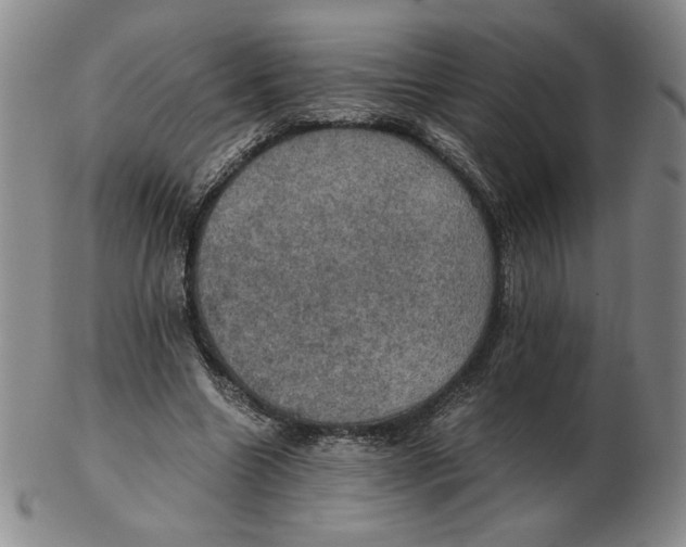 X0000103140538200809121756