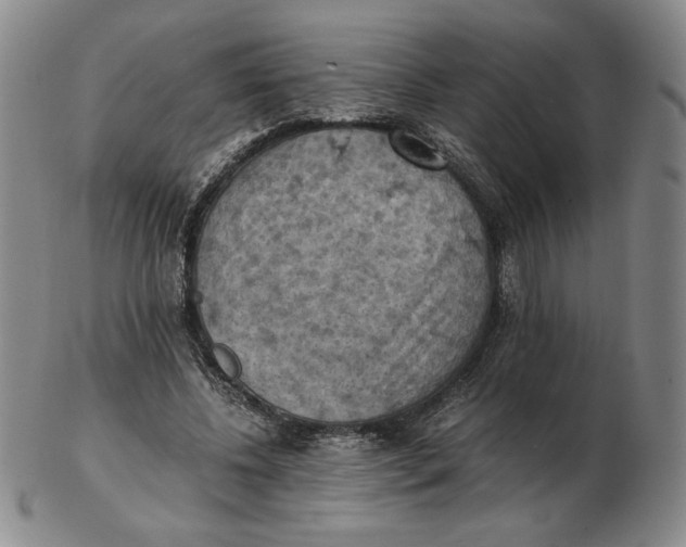 X0000103140540200809121756