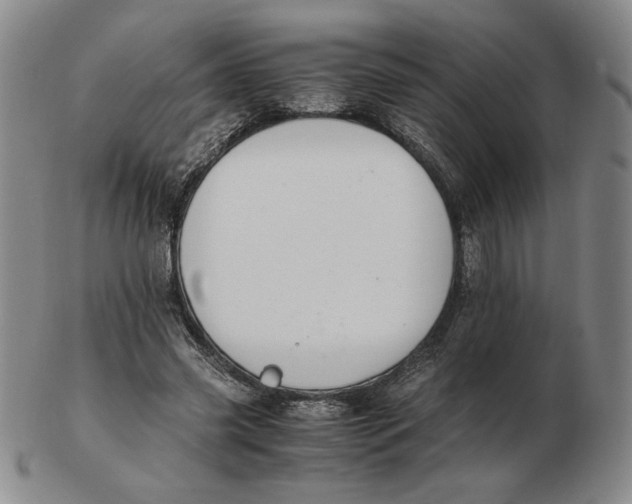 X0000103140541200809121756