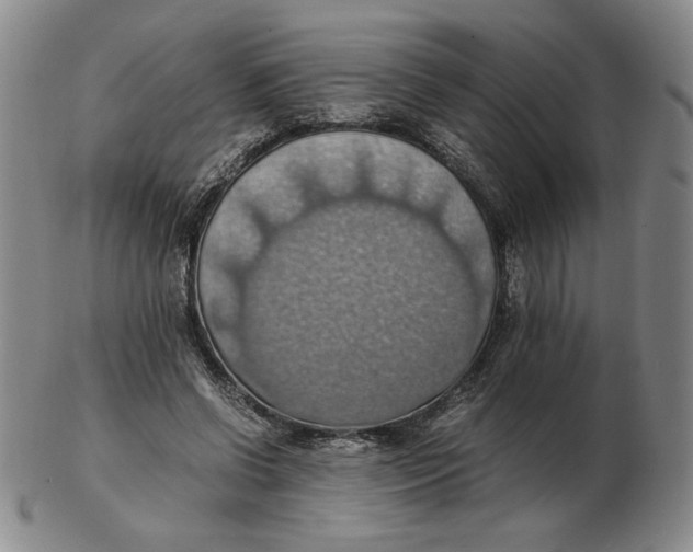 X0000103140542200809121756