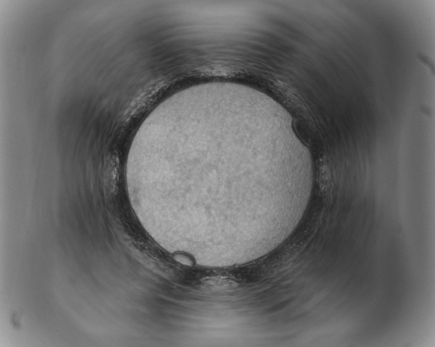 X0000103140544200809121756