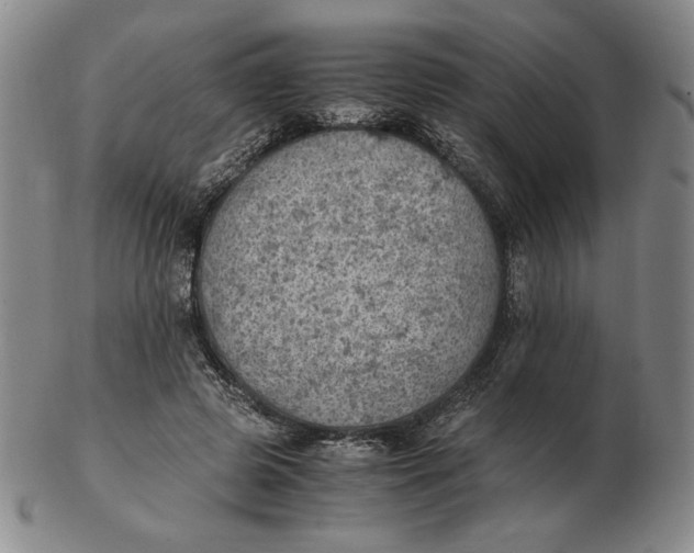 X0000103140545200809121756