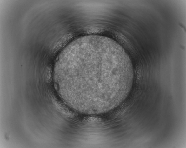 X0000103140546200809121756