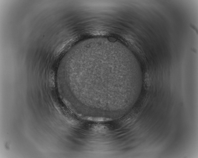 X0000103140547200809121756