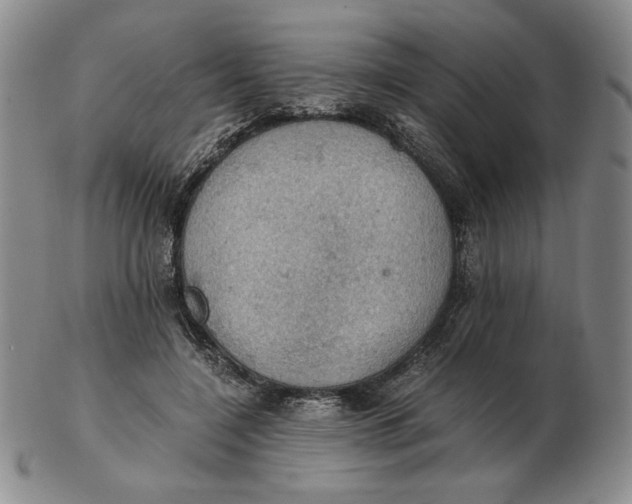 X0000103140548200809121756